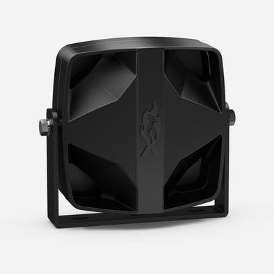Vanguard 100W Speaker